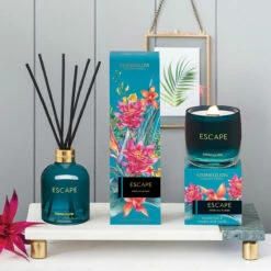 Stoneglow Infusion Escape White Tea & Mint Reed Diffuser | Long-Lasting Home Fragrance -Campus Gifts Sales 6845 stoneglow infusion escape reed diffuser lifestyle 1