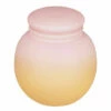 Paddywax Orb 141g Pink Pepper & Pomelo Ombre Frosted Glass Soy Candle - New In -Campus Gifts Sales dw collective orb0502eu paddywax orb pink pepper pomelo soy candle 1