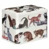 Emma Bridgewater Rectangular Cat Treat Tin | Stylish Pet Food Storage | Tins & Storage -Campus Gifts Sales elite emma bridgewater cat3107 rectangular cats treat tin 1