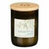 Paddywax Eco 226g Eucalyptus & Sage Soy Candle in Recycled Glass | Eco-Friendly Fragrance