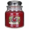 Yankee Candle Red Raspberry Medium Jar Candle - Long-Lasting Fragrance, 623g -Campus Gifts Sales yankee candle 1323187 red raspberry medium jar candle