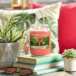 Yankee Candle The Last Paradise Large Jar Candle - Tropical Escape Scent -Campus Gifts Sales yankee candle 1630342e the last paradise large jar candle lifestyle 1